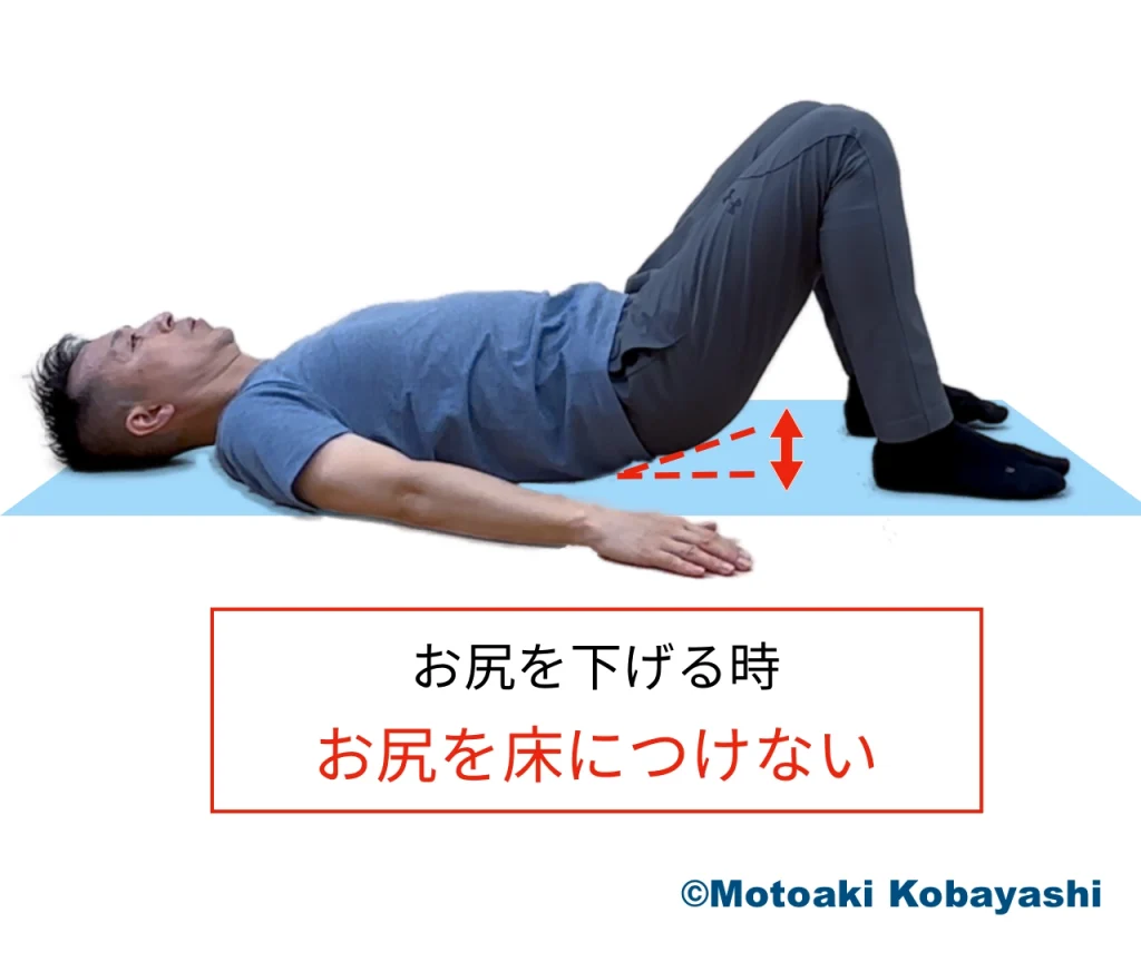 体幹／フロア　ヒップリフト新３